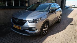 uszkodzony samochody osobowe Opel Grandland Opel Grandland X 1.6 Turbo Hybrid4 Ultimate 2021/5