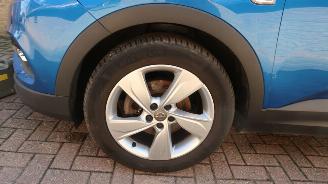 Opel Grandland Opel Grandland X 1.2 Turbo 120 Jaar Edition picture 20