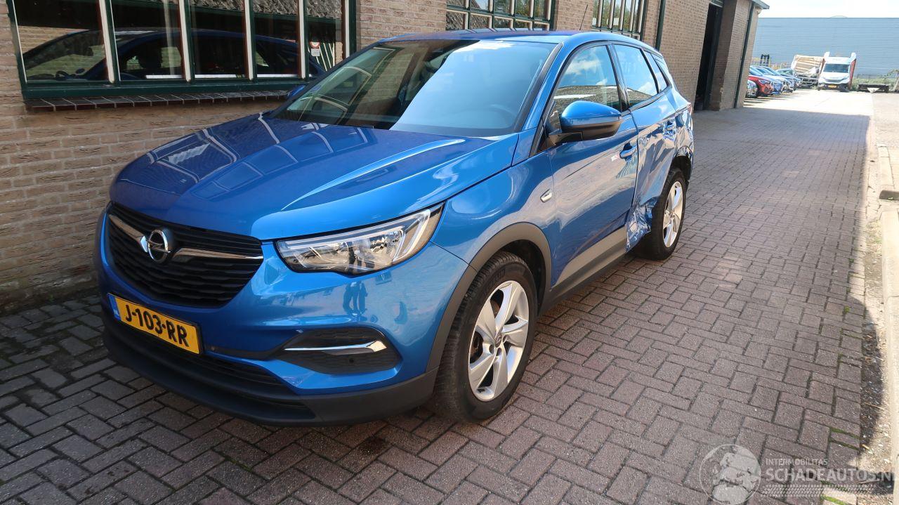 Opel Grandland Opel Grandland X 1.2 Turbo 120 Jaar Edition