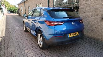 Opel Grandland Opel Grandland X 1.2 Turbo 120 Jaar Edition picture 4