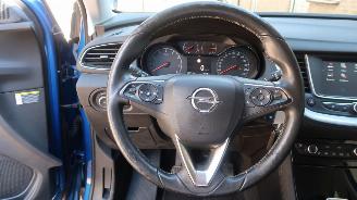 Opel Grandland Opel Grandland X 1.2 Turbo 120 Jaar Edition picture 7