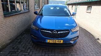 Opel Grandland Opel Grandland X 1.2 Turbo 120 Jaar Edition picture 2
