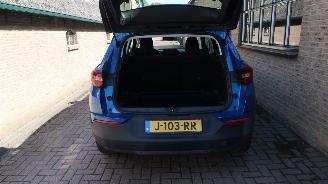 Opel Grandland Opel Grandland X 1.2 Turbo 120 Jaar Edition picture 19