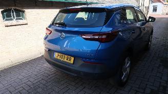 Opel Grandland Opel Grandland X 1.2 Turbo 120 Jaar Edition picture 6