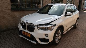skadebil auto BMW X1 BMW X1 sDrive18i High Executive 2018/6