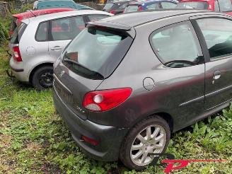 Peugeot 206 206+ (2L/M), Hatchback, 2009 / 2013 1.1 XR,XS picture 5