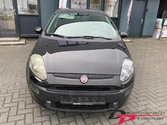 Fiat Punto Punto Evo (199), Hatchback, 2008 / 2012 1.3 JTD Multijet 85 16V Euro 5 picture 2