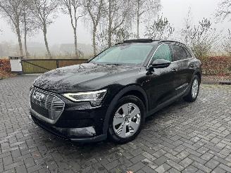 Schadeauto Audi E-tron Audi E-tron 55 Quattro S-Line Panorama Leder Trekhaak VOL 2021/9