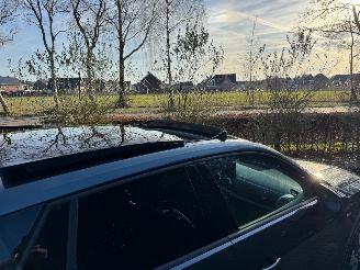 Audi Q2 Audi Q2 35 TFSI S line PANO CAMERA AHK Ambiance 2025 picture 13