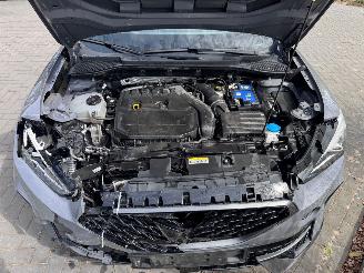 Cupra Formentor Formentor 1.5TSI Panorama Camera Leder Ambiance picture 15