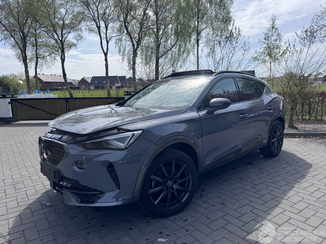 Cupra Formentor Formentor 1.5TSI Panorama Camera Leder Ambiance