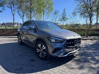 Mercedes GLA GLA 250 GLA GLA 250 e ACC Camera Ambiance VOL picture 13