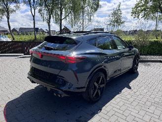 Cupra Formentor Formentor VZ 2.0 TSI 333pk 4Drive PANORAMA 360view Akrapovic VOL! picture 3