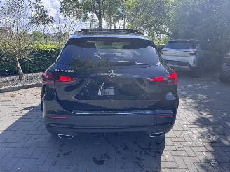 Mercedes GLA Mercedes-Benz GLA 200 AMG PANORAMA Leder Ambiance Camera VOL picture 21