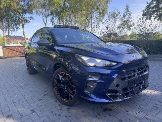 Cupra Terramar Cupra Terramar 2.0 TSI 4Drive VZ PANORAMA HUD Trekhaak Sennheiser Sound Standkachel  VOLL picture 9