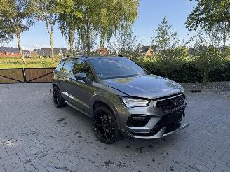 Cupra Ateca Ateca VZ 4Drive 2.0 TSI DSG Camera Ambiance ACC picture 18