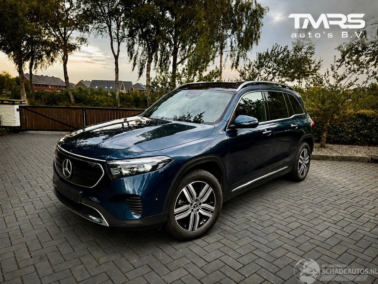 Mercedes EQB EQB 250+ AMG  7 Persoons PANORAMA Ambiance Camera !