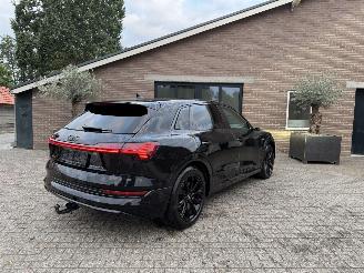 Audi E-tron E-tron 55 Quattro S-Line Virtual Mirrors Trekhaak Camera Leer  VOL picture 3
