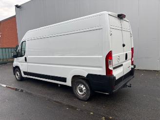 Opel Movano MAXI picture 3