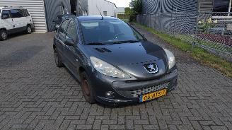Peugeot 206+ distributieriem eraf gelopen picture 5