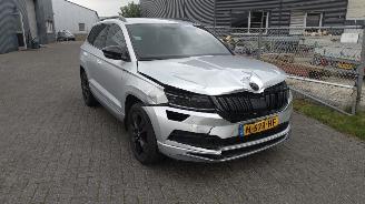 Skoda Karoq 1.5 Autom Sportline dealer auto supernetjes! 2019/1