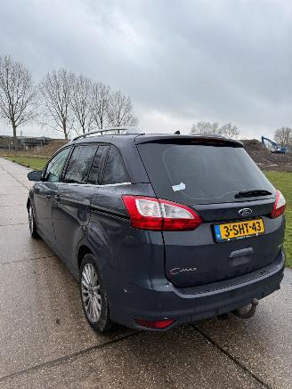 Ford Grand C-Max 1.0 Ti-VCT EcoBoost picture 5