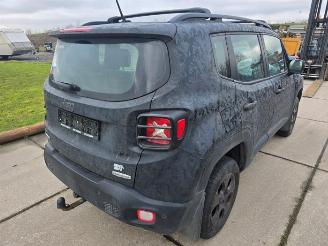 Jeep Renegade Renegade (BU), SUV, 2014 2.0 Mutlijet 140 16V 4x4 picture 6