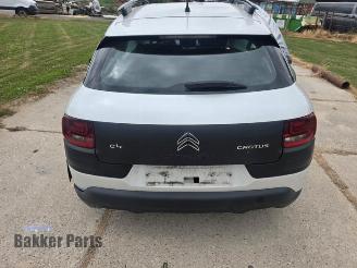 Citroën C4 cactus C4 Cactus (0B/0P), Hatchback 5-drs, 2014 1.2 PureTech 82 12V picture 5