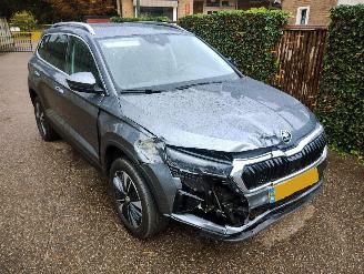 Skoda Karoq 1.5 TSI ACT Business Edition Plus picture 4