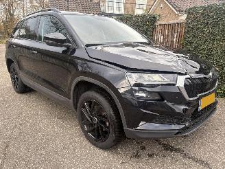 Skoda Karoq 1.0 TSI Business Edition 110PK picture 5