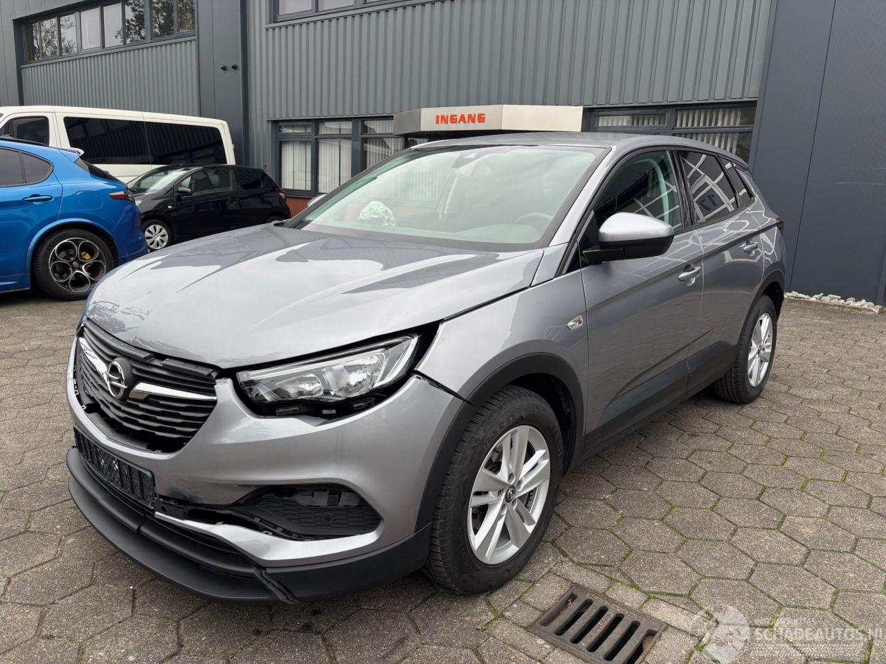 Opel Grandland X