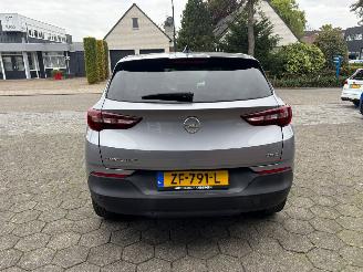 Opel Grandland X picture 4