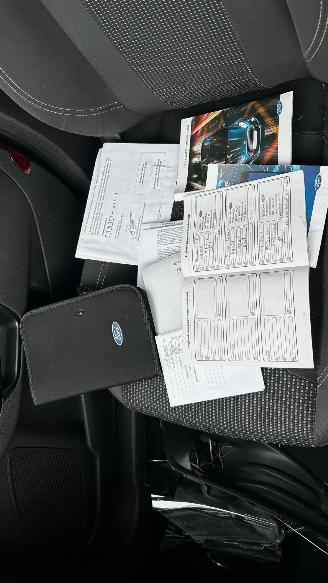 Ford Fiesta  picture 16