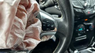 Ford Fiesta  picture 14