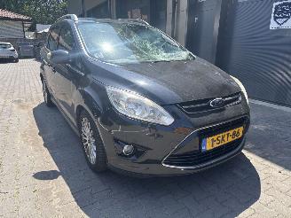 Ford Grand C-Max 1.0 titanium picture 2