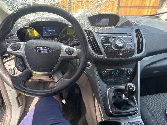 Ford Grand C-Max 1.0 titanium picture 8
