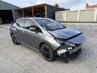 škoda osobní automobily Nissan Leaf  2022/4