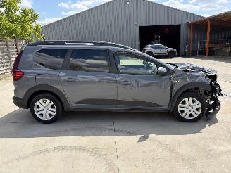 Dacia Jogger 1.6i - 16V SCE 140 E-TECH picture 19