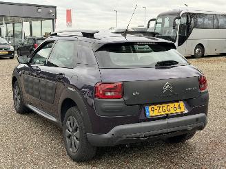 Citroën C4 cactus 1.6 BlueHDi Business picture 6