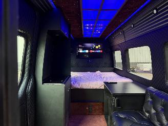 Unfallwagen Mercedes Sprinter VIP CAMPER 906 KA 35 SPRINTER 313CDI 2010/2