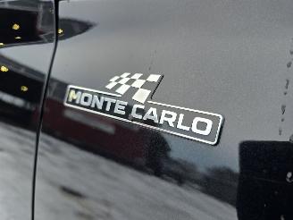 Skoda Kamiq MONTE CARLO picture 22
