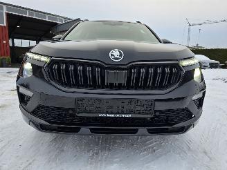 Skoda Kamiq MONTE CARLO picture 23