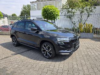 Schadeauto Skoda Karoq  2024/2