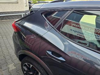 Cupra Formentor Hybride picture 14