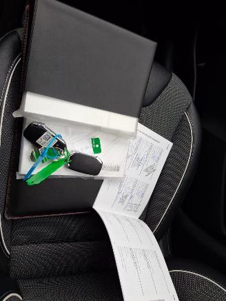 Kia Niro dynamic line  64kwh         204pk   navi picture 12