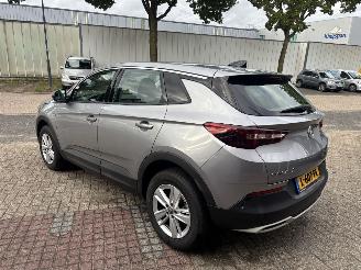 Opel Grandland X 1.5 CDTi Business Elegance picture 4