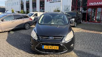 Voiture accidenté Ford Grand C-Max 1.0 TITANIUM HAGELSCHADE 2013/6