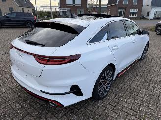 Kia Pro cee d 1.6 T-GDi  150 Kw GT-Line automaat picture 13