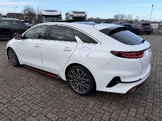 Kia Pro cee d 1.6 T-GDi  150 Kw GT-Line automaat picture 17