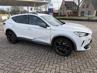 Cupra Formentor 2.0 -180 Kw Automaat VZ picture 8
